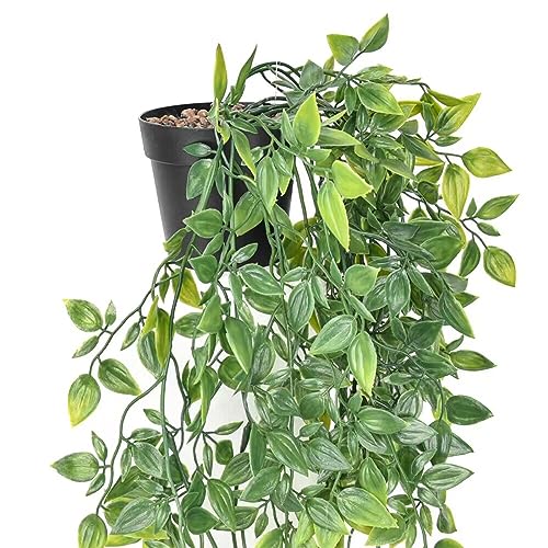 Image of BLEUM CADE Fake Hanging Plants, 2pcs Artificial Hanging Potted Plant, Faux Mandala Vines Hanging Plant Greenery for Wall Shelf Home Living Room Indoor Outdoor Decor