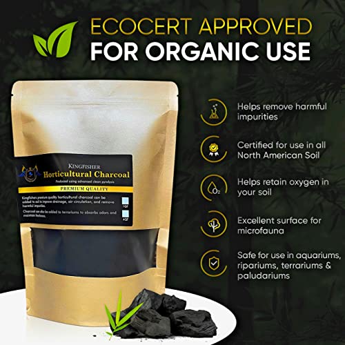 Kingfishers Organic Horticultural Charcoal & Terrarium Charcoal | Charcoal For Plants | Pure Hardwood Charcoal For Planting And Gardening | (1 Quart) #TOP6
