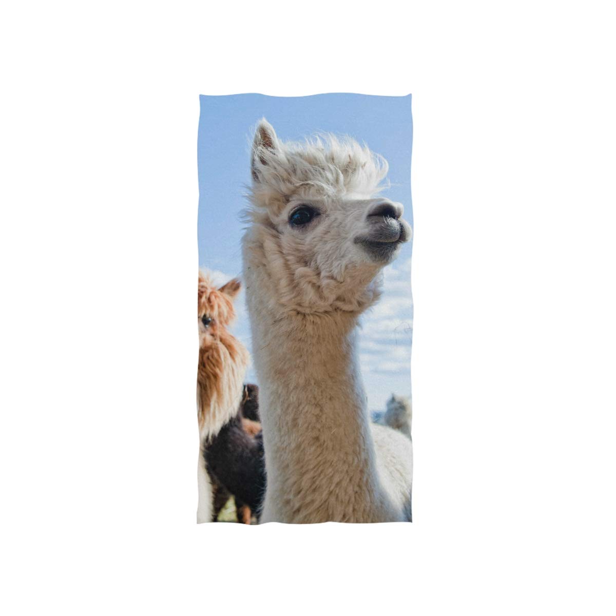 Linomo Girls Hand Towel Lama Llama Alpaca Towel Cotton Face Towel Dish Towel For Kids Boys Adult