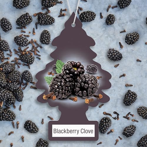 Image of LITTLE TREES Car Air Freshener | Hanging Tree Provides Long Lasting Scent for Auto and Home | 24 Air Fresheners |Blackberry Clove