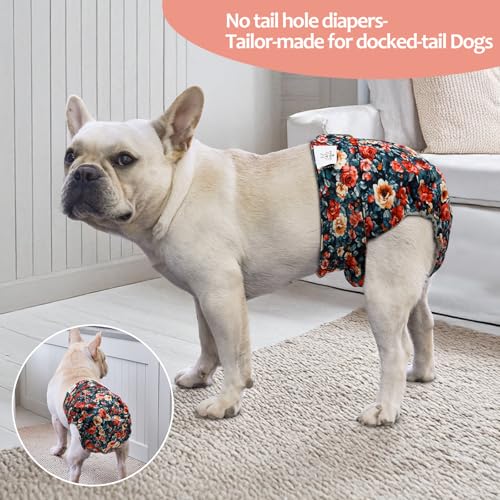Image of CuteBone Washable Dog Diapers Female No Tail Hole 3 Pack Reusable Doggie Period Training Pants for Docked-Tail Frenchie French Bulldog Boston Terrier Without Tail WWD33L