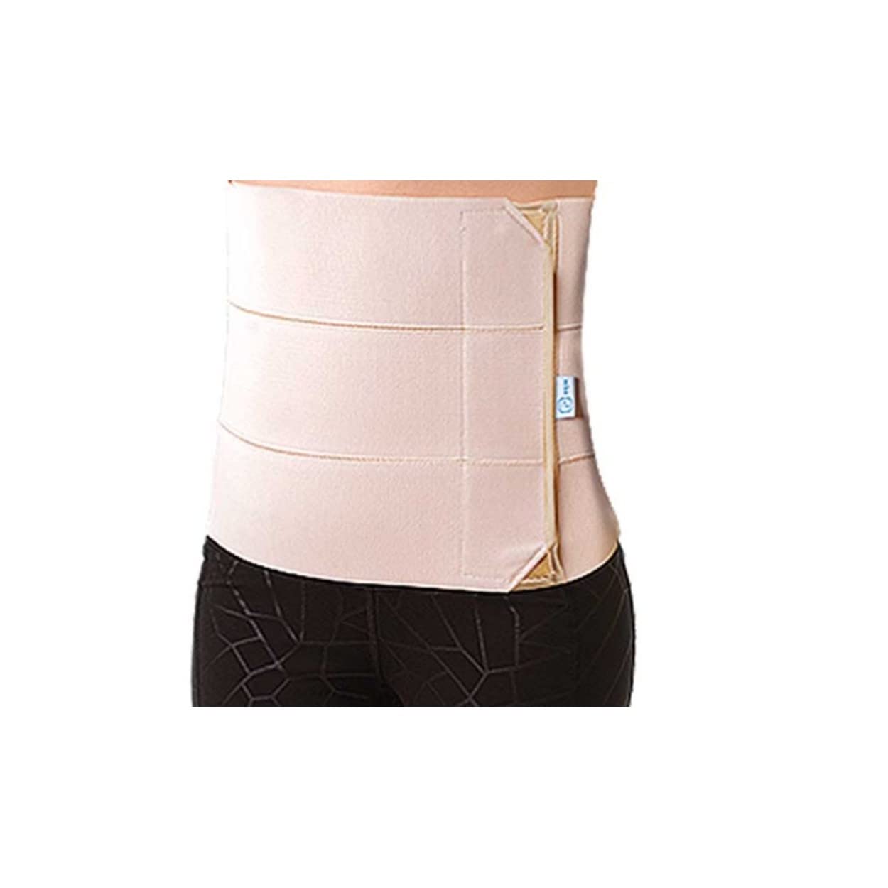 PRIM SPINE 3 Bands - PRS603BG Size L