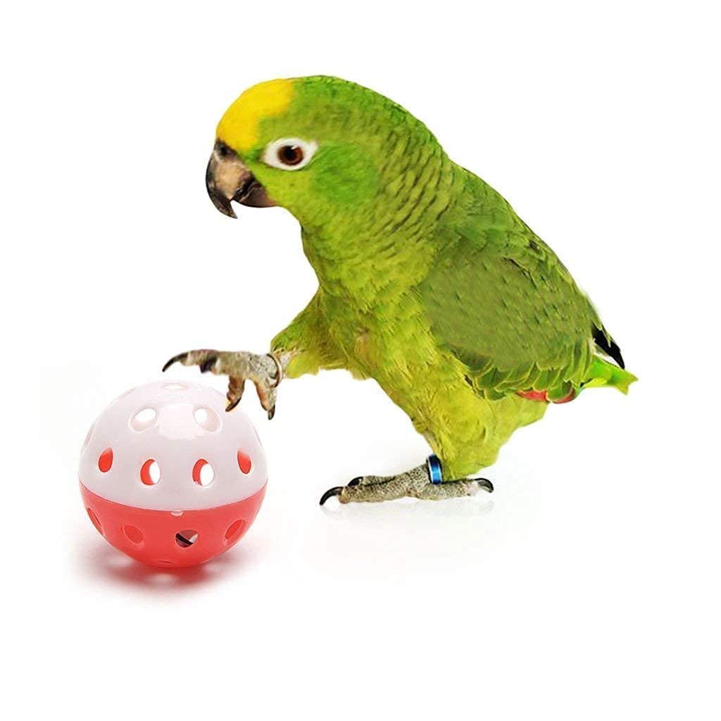 PAGONA� - Bird Interactive Bell Ball, Bird Toy for Parakeet, Cockatiel, Budgerigar, Parrots, 1.5 Inches, Medium (Bird Ball Toy, Pack of 5) (B09YJR9RZK) Amazon Price History, Amazon Price Tracker