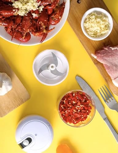 Portable Vegetable Chopper 250Ml, Wireless Mini Chopper For Kitchen, Garlic Mincer Food Processor For Chopping And Slicing Onion Ginger Veggies Spice Baby Food, Usb Rechargeable #TOP5