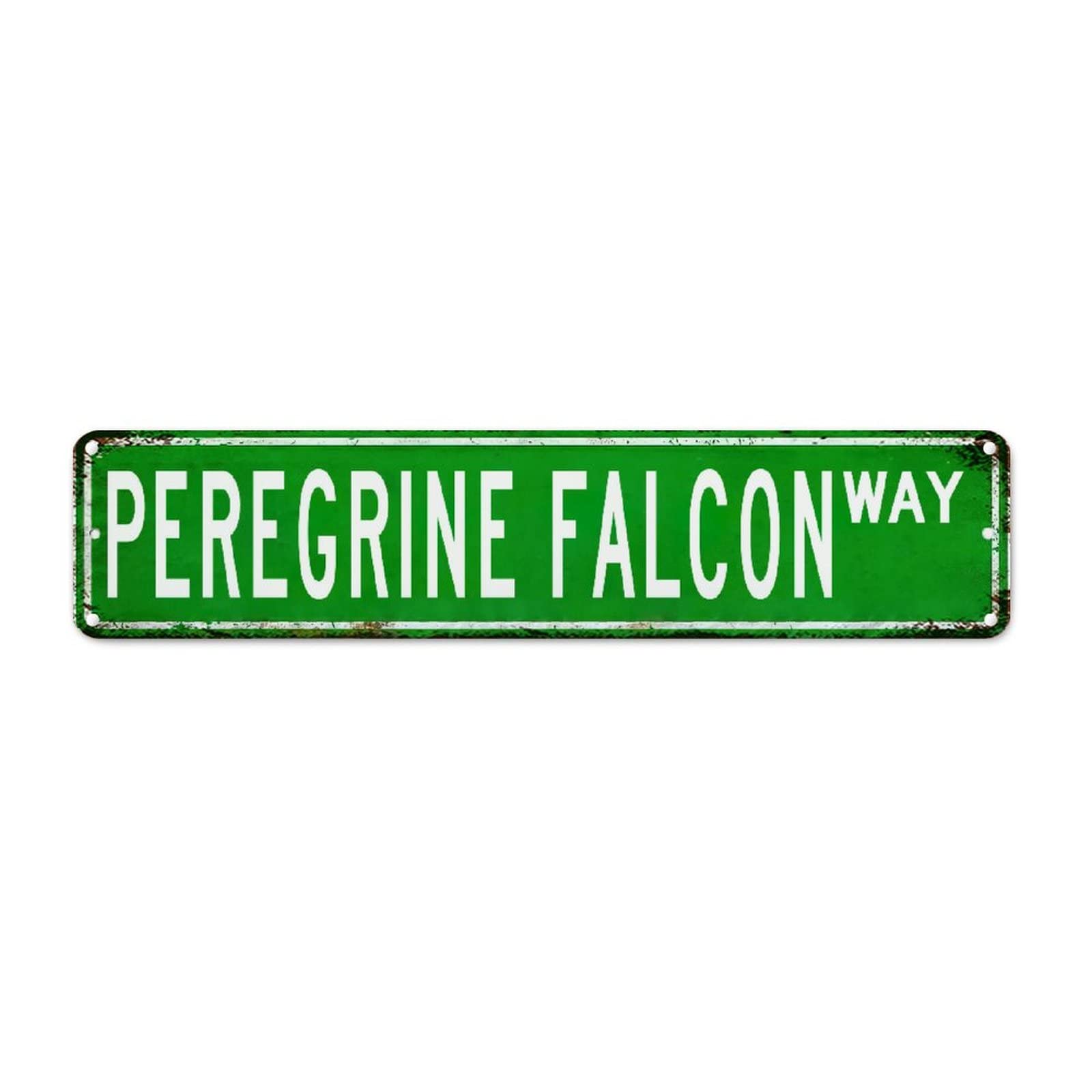 Peregrine Falcon Retro Metal Wall Sign Street Sign Gift For Peregrine Falcon Lover Vintage Tin Sign Pet Animal Breed Name Metal Tin Plaque Wall Decor Home Quality Sign For Kitchen Bedroom Front Porch