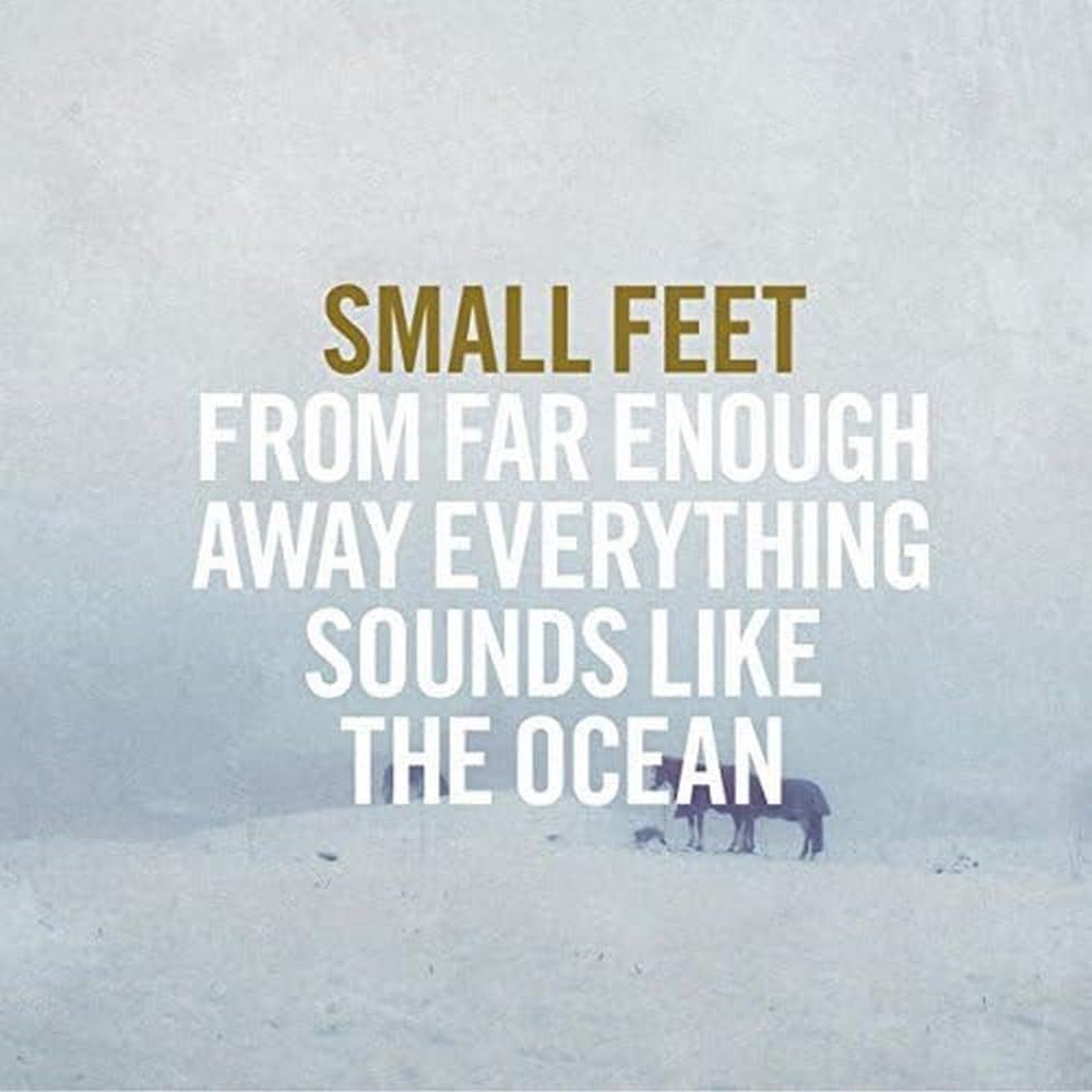 From Far Enough Away Everything Sounds Like The [VINYL]