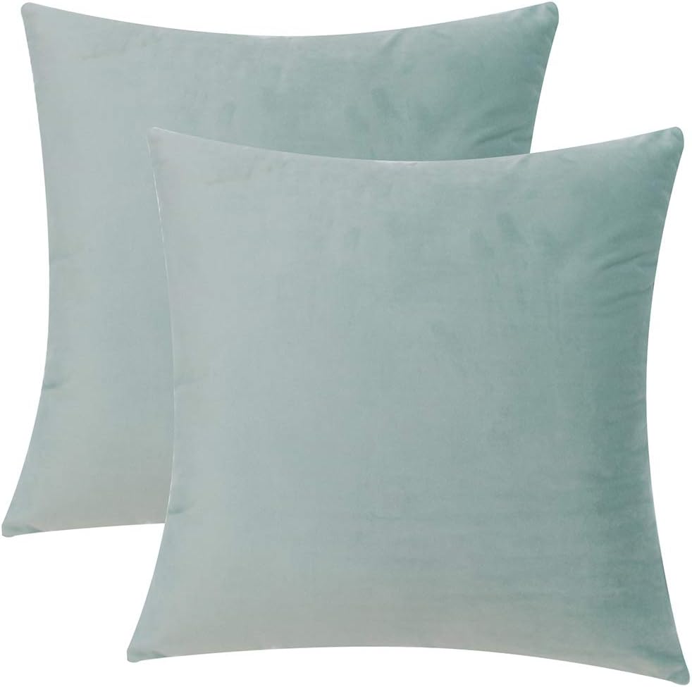 YOYOkmc Pack of 2 Velvet Throw Pillow Cover,Solid Decorative Cushion Cover Hidden Zipper Soft Euro Sham for Sofa Bedroom Car Office (Light Blue,Set of 2 18"×18")