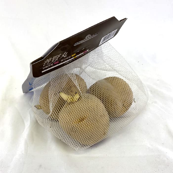 Amazon.co.jp: 種じゃがいも 普賢丸 ふげんまる 約500g※大小ミックス