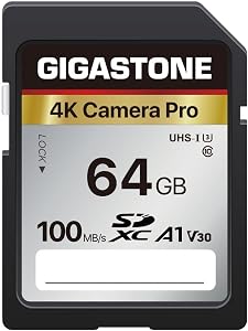 【5-Years Data Recovery】 GIGASTONE 64GB SD Card, 4K Camera Pro, A1 V30 SDXC Memory Card 4K UHD Video Compatible with Canon Digital Camera, with 1 Mini Cases