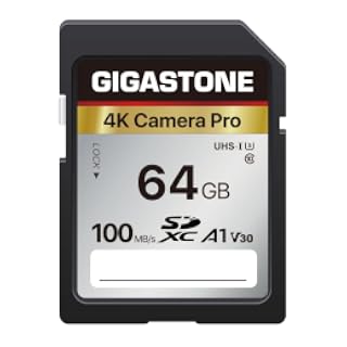 Recuperación de datos gratuita de 5 años: tarjeta SD GIGASTONE de 64 GB, cámara 4K Pro, velocidad de hasta 155 MB/s, tarjeta de memoria SDXC UHS-I A1 V30 SDXC 4K UHD compatible con cámara digital, con