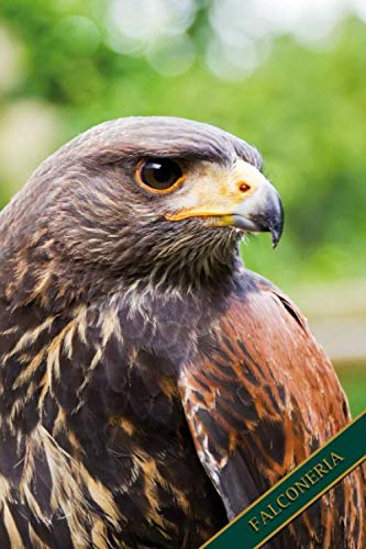 Falconeria: Poiana del deserto, poiana, Harris Hawk. Formato A5, 120 pagine, foderato in grigio discreto. Rubriche quotidiane, appunti e diario, ... gli amici della natura e gli uccelli
