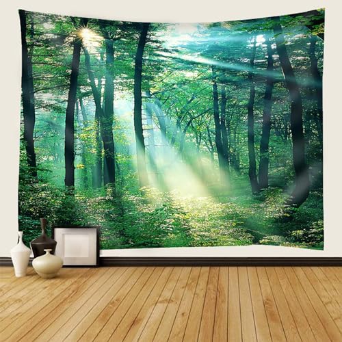 Grand drapé mural vert forêt 240x220 pour masquer un mur vide
