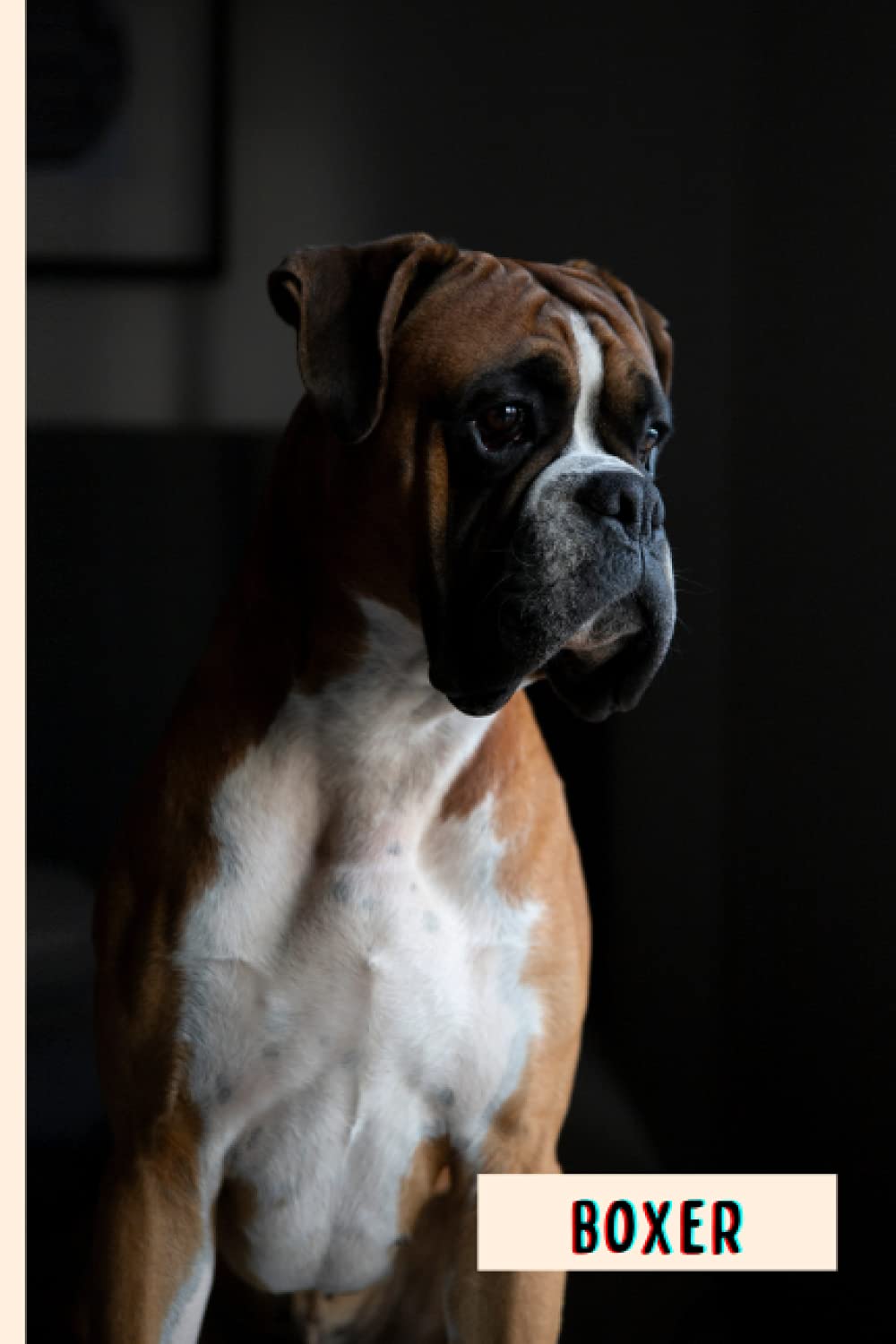 Boxer: Composition Notebook For Boxer Lovers , Boxer Lined Journal ,6x9 Inches , 110 Pages ,Boxer Diary
