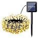 Qedertek 22ft 50 LED Solar String Lights Waterproof Solar Garden Lights, Solar Flower lighting Indoor/Outdoor Decoration for Patio, Lawn, Christmas, Holiday and Festivals ( Warm White)
