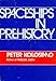 Spaceships in Prehistory