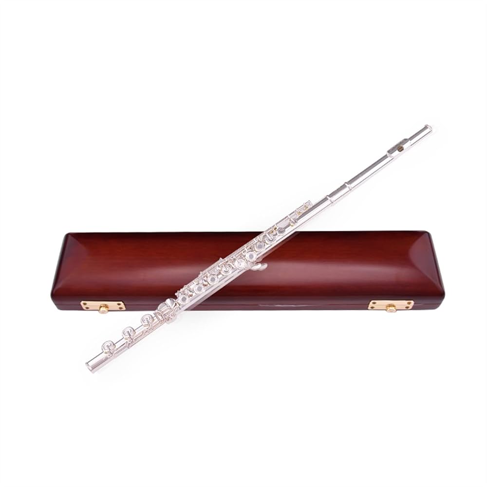 ジャンクフルート2本セット DZDZDZ Intermediate Flute Flute Silver Plated 17 Keys Flute