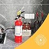 Ougist ABC Fire Extinguisher for Home & Vehicle - 2.5 lb 1-A:10-B:C Rated, Dry Chemical Fire Safety with Quick-Release Handle, Certified for Kitchen/Car/Boat Use-Model FF1KG-2Pack