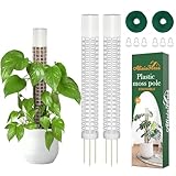 AlisisFores 2 postes de musgo de plástico de 17.5 pulgadas para plantas Monstera,