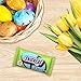 SNICKERS Chocolate Easter Eggs Candy Basket Stuffers, 1.1-Ounce 24 Count Box Bars