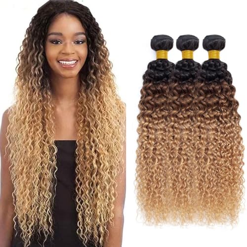 28 30 32 Inch TARPION T1B/4/27 Bundle Ombre Brown Kinky Curly Human Hair Bundles Three Tone Color #4 and Color #27 Bundles Human Hair Honey Blonde Kinky Curly Bundle