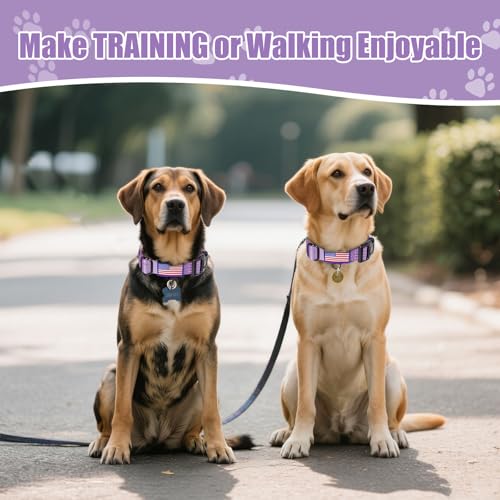 Image of Martingale Dog Collar Reflective NO Pull with USA Flag, Lavender, M | Escape Proof without choking,Adjustable Limited Slip Collar with Quick Release Buckle, Nylon Walking Collar for S M L Dogs