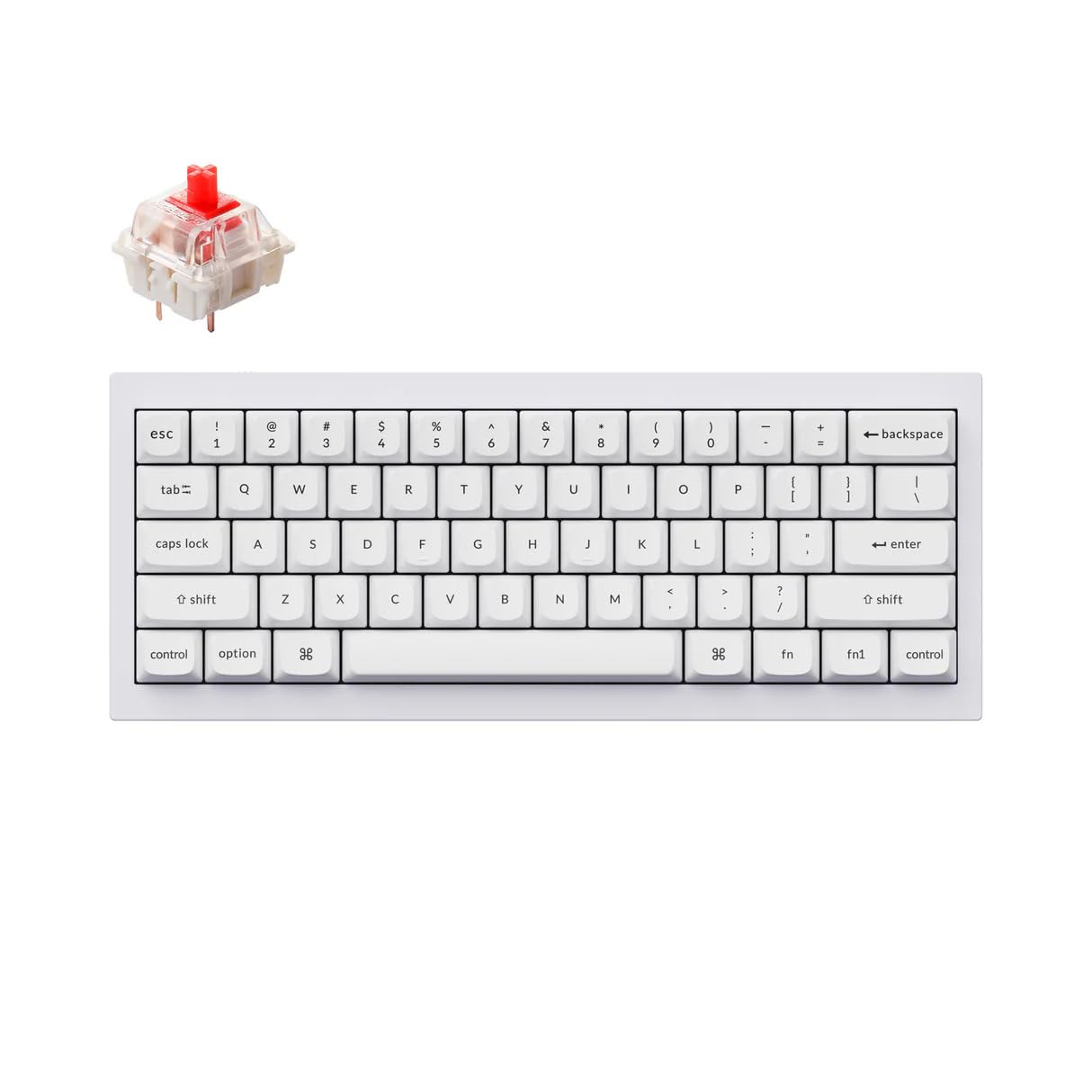 Keychron Q4　VIA RGB Blue Switch アルミキーボード Amazon | Keychron Q4 有線 カスタム メカニカル キーボード QMK/VIA