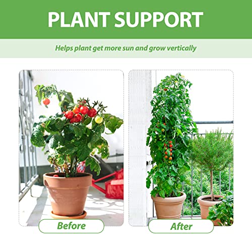 Eapfct Tomato Cage, Assembled Tomato Plant Garden Cages Stakes Vegetable Support Trellis,With 10Pcs Tomato Clips And 65Ft Garden Ties, For Vertical Climbing Plants 3 Pack #TOP2