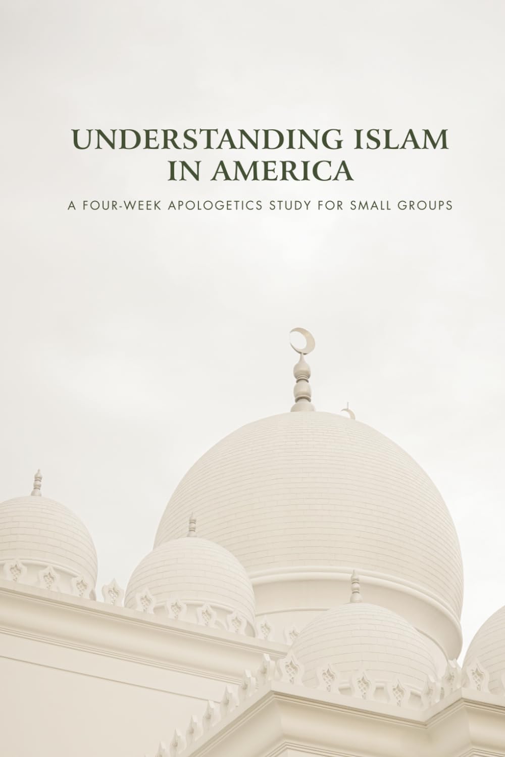 Understanding Islam in America (Cultural Apologetics)