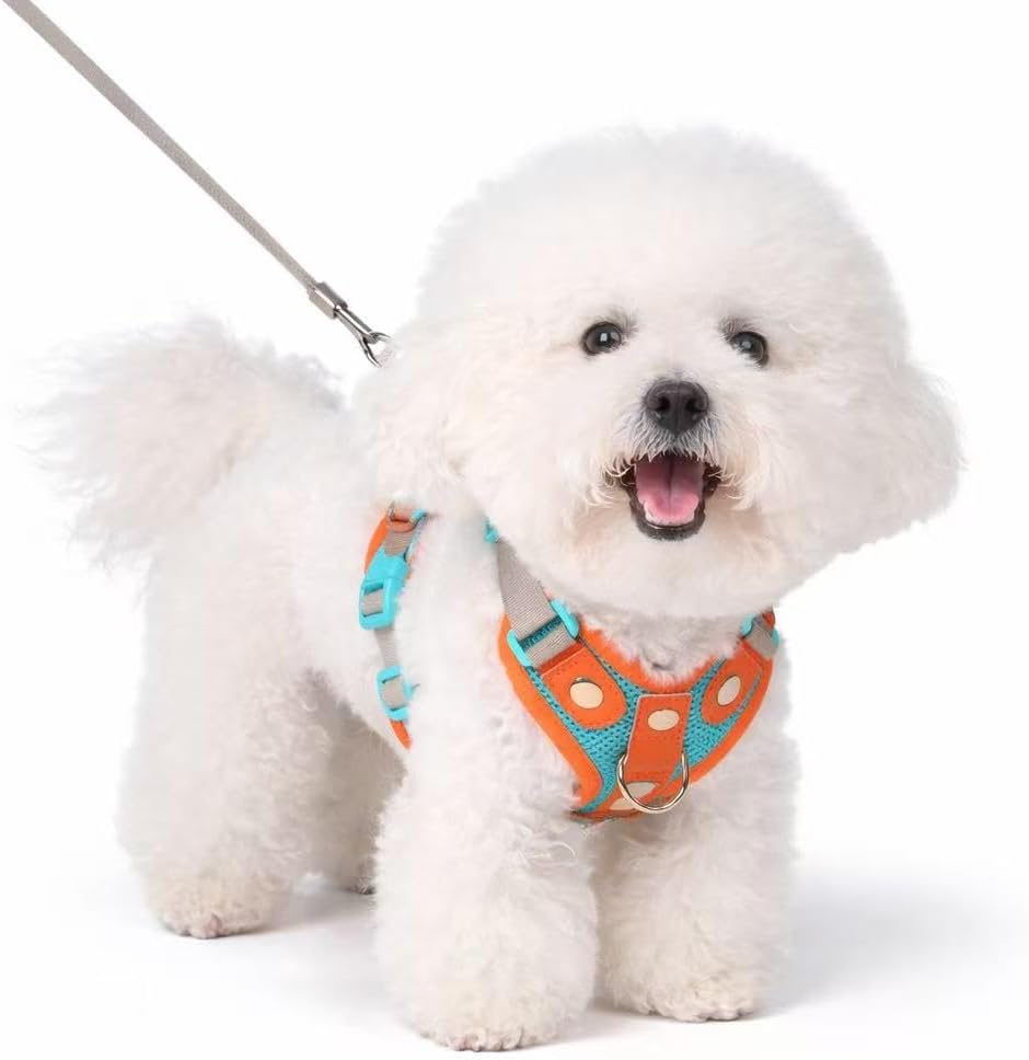 No Pull Dog Harness with Front Clip, No-Choke Padded Chest Vest with Leash Breathable Adjustable Reflective Harness for Small Medium Dogs (Teal and Orange S)