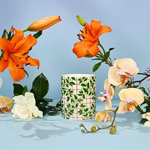 L’or De Seraphine The Ivy Scented Candle | Fragrance No. 30 | Floral & Fresh Notes | 45 Hour Burn Time | Luxury Scented Candle For Home & Leisure | 6.4 Oz #TOP1