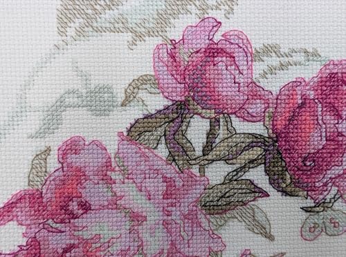 Image of Aine - Peonies. Whisper A1010, Cross Stitch Kits 7 inchx6 inch, Cross Stitch Kits for Beginners & Advanced, Crossstitching Kits Adult, Counted Cross Stitch Kits for Adults, Flowers Embroidery Kit