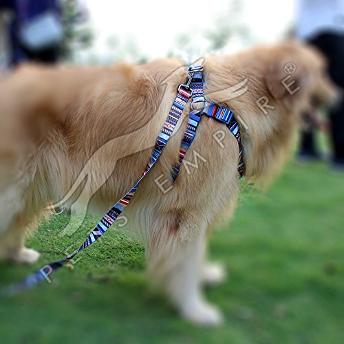 Pets Empire Dog Design Pop Art Dogs Step-in Dog Harness and Leash, Large-2.5 cm Wide and fits Chest Circumference of 20 to 25"-Design Patterns and Color May Vary 1 Piece (B07BZSKC3H) Amazon Price History, Amazon Price Tracker