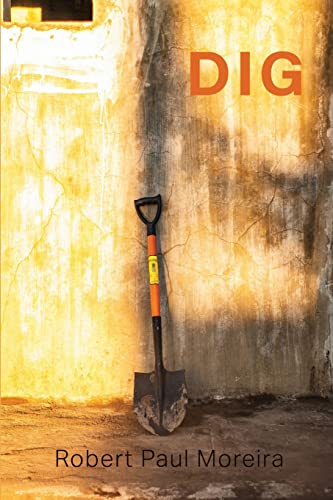 Dig view 2