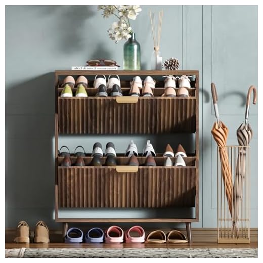 Modern Walnut Shoe Cabinet Organizer