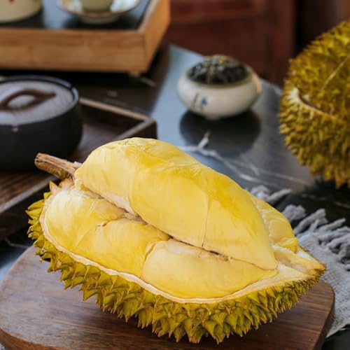 duriansamen - durianfrucht - zimmerpflanzen, durian obstbäume, winterharte garten säulenobst balkonpflanzen 5pcs