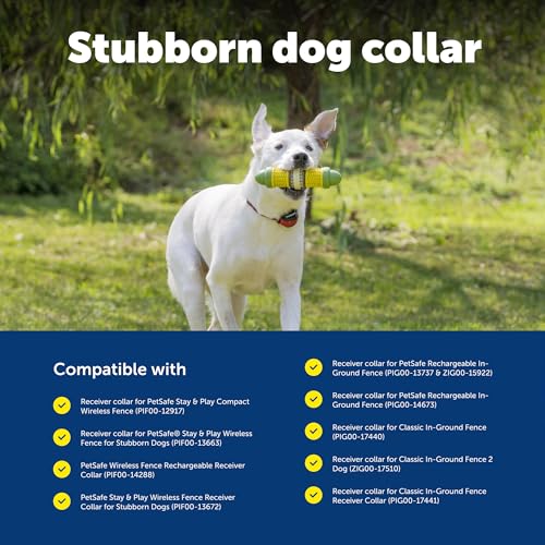 PetSafe Stay & Play Wireless Fence Receive Collar for Stubborn Dogs - Rechargeable & Waterproof Receiver Collar with Quick Charge in 2-3 Hours - for Dogs 5lb+ - Image 7