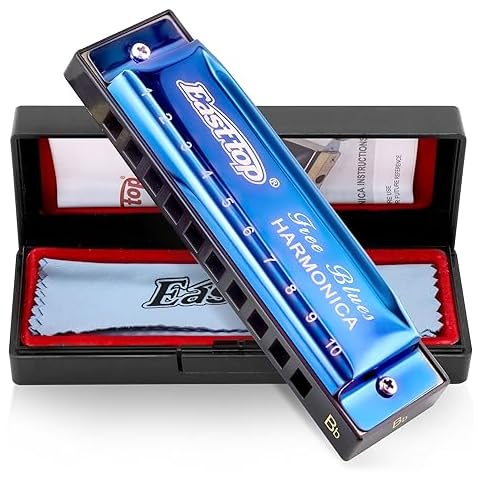 East Top 10 Hole Blues Diatonic Harmonica Cover