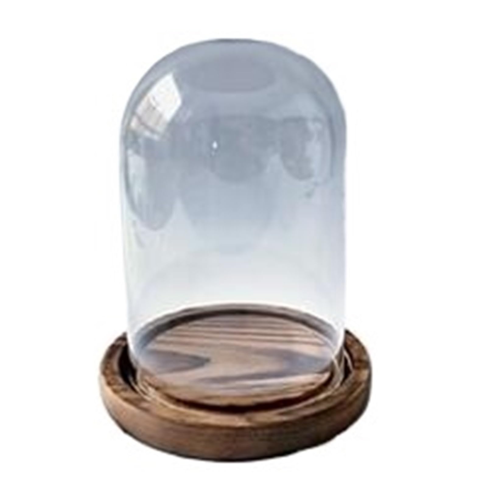 Wyqxty Color 01 Clear Glass Cloche Display Glass Cloche Dome 10Cm X 25Cm Transparent Display Wood Base Cover For Home Decoration