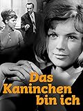 dieter müller motel one vermögen  Das Kaninchen bin ich