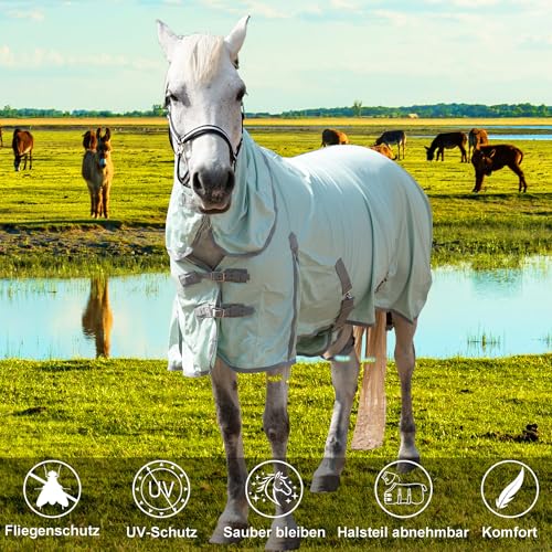 Gallopoff Fliegendecke Pferde mit Halsteil – atmungsaktive Sommerdecke mit UV-Schutz und Scheuerschutz, Verstellbarer Brustverschluss, Bauchgurte, Beinschnüre und Schweiflatz Green 135 cm
