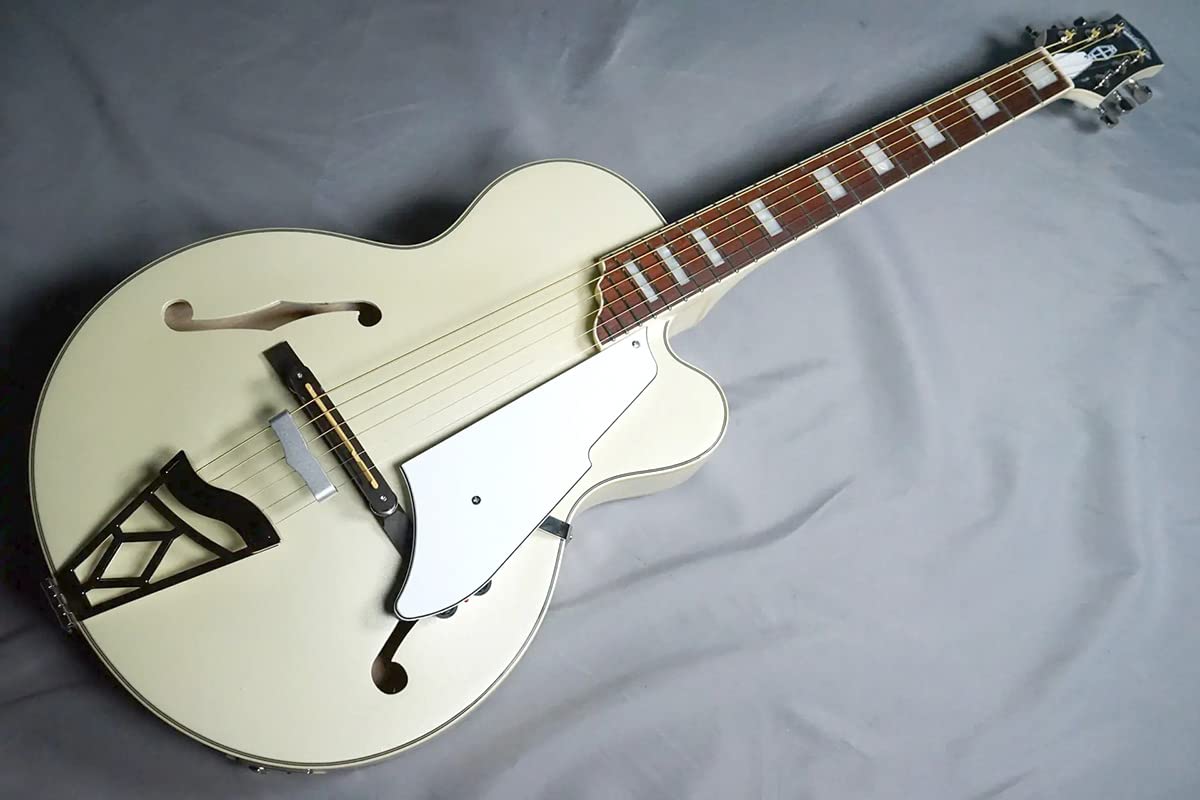 Amazon | VOX VGA-5TPS PW アコースティックギター初心者12点