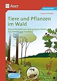  Tiere und Pflanzen im Wald: Basisinformationen und Aufgabenblätter für drinnen und draußen (3. und 4. Klasse)