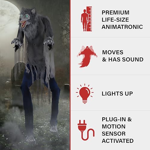 Haunted Hill Farm 7-Ft. Tall Towering Werewolf, Motion-Activated Animatronic for Indoor or Covered Outdoor Creepy Decorations, Plug-in Scary Halloween Prop
