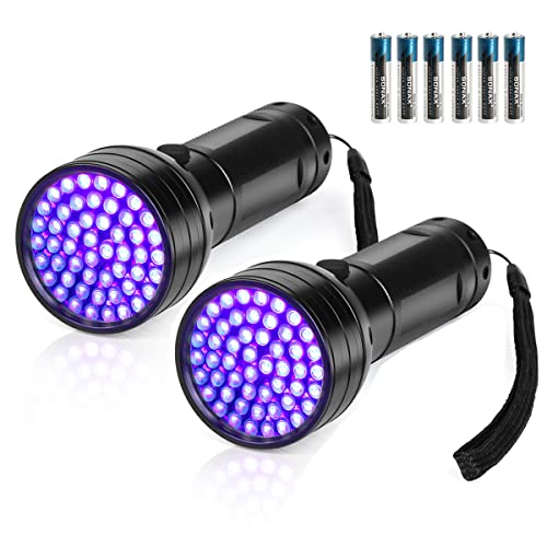 Détecteur d'urine de chat lampe de poche UV 395nm pour taches et punaises de lit