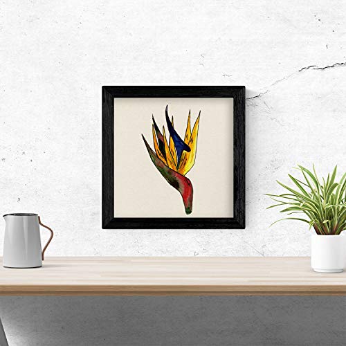 Nacnic Poster de flores y naturaleza. Lámina cuadrada Flor amistad, ilustrada con dibujos a color. Decoración de plantas y naturaleza. Tamaño 20x20 con marco