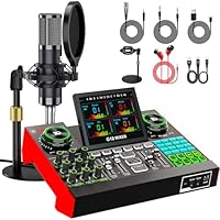 Zehn Lampen Podcast-Ausrüstungsset mit Audio-Mixer und Soundkarte, Live-Soundkarte, geeignet für PC-/Handy-Live-Streaming und Podcast-Aufnahmen