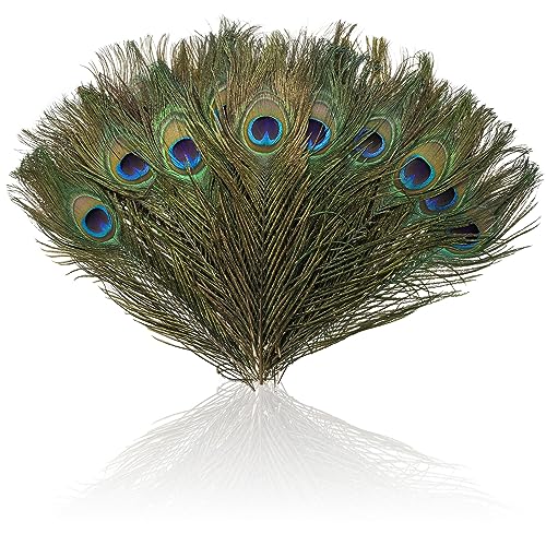 Goaste 50 Pack Real Peacock Feathers, 10-12 Inch Natural Peacock Eye Feathers for Floral Arrangements, Wedding, Home Decoration, Party Decoration, DIY Craft, Christmas Tree Decor