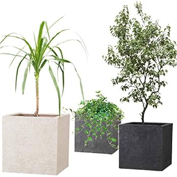 Amazon | 新素材 ポリストーンライト リガンデ キューブ 40cm