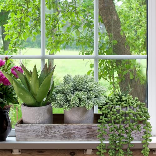 Winlyn-Set-of-3-Mini-Potted-Artificial-Succulent-Arrangement-Faux-String-of-Pearls-Aloe-Hops-Succulent-Plants-in-Rustic-Decorative-Wood-Planter-for-Farmhouse-Tabletop-Shelves-Indoor-Greenery-Decor Winlyn Set of 3 Mini Potted Artificial Succulent Arrangement Faux String of Pearls Aloe Hops Succulent Plants in Rustic Decorative Wood Planter for Farmhouse Tabletop Shelves Indoor Greenery Decor
