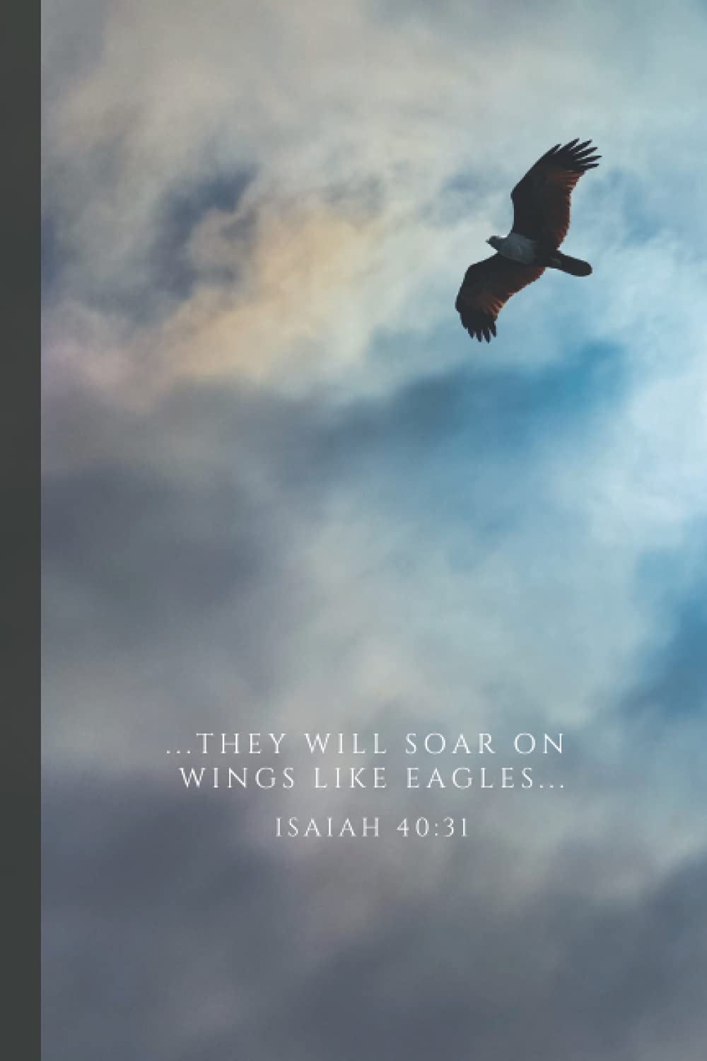 They Will Soar on Wings Like Eagles: A write-in scripture and prayer journal with optional Bible reading plan
